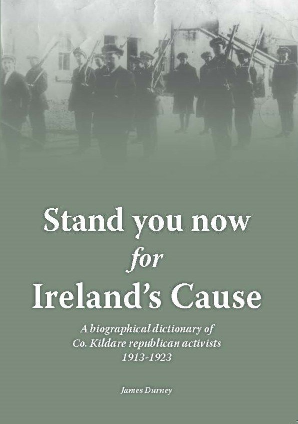Stand You Now for Ireland's Cause book cover