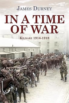 In a Time of War: Kildare 1914-1918 book cover